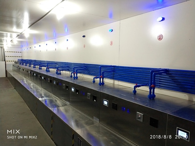 本地人防水补漏系统（十年质保型）